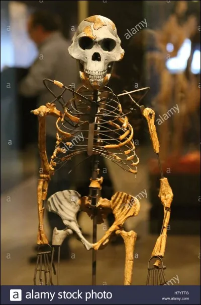 Quel est le nom que l'on a donné à un Australopithèque ?