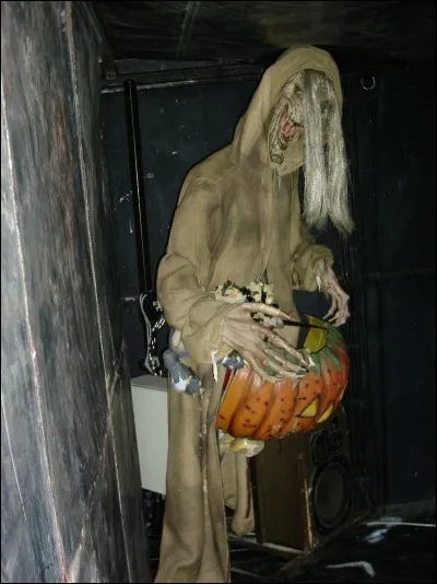 Un copain parie que tu n'oseras pas aller seul dans un train fantôme.