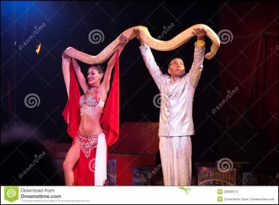 Au cirque, on te propose de tenir un serpent.