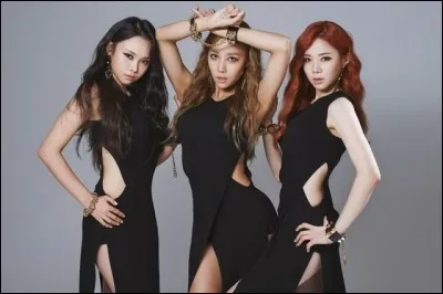 Comment se nomme ce Girls band ?