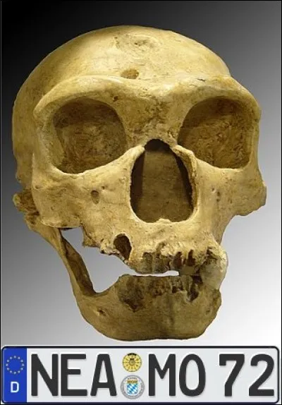 Et pour finir, voici la plaque de l'homme de N&eacute;andertal ! Alors, &agrave; votre avis ?