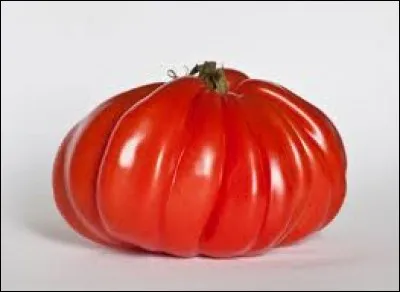 Comment est nommée cette tomate ?