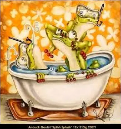 Quel animal est une anagramme de "aile" ?