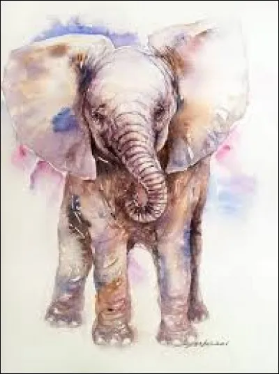 "Roussi". L'anagramme de ce mot est un animal...