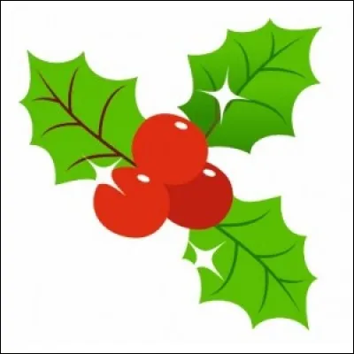 Comment dit-on "houx" ?