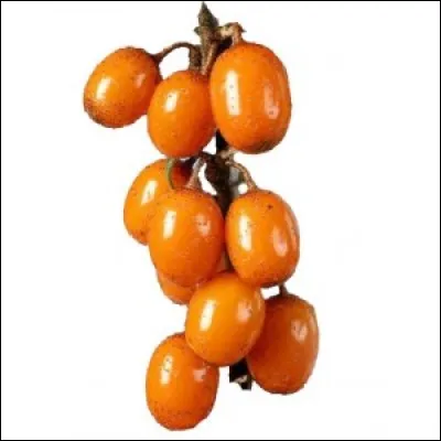 Que sont ces fruits ?