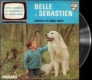 Belle si tu le veux, nous...