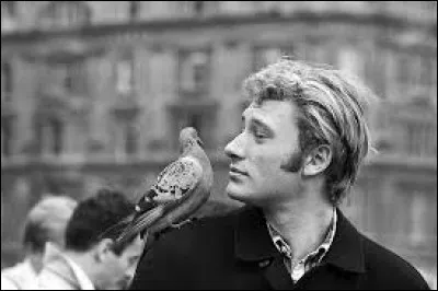 Durant quelle décennie est sortie la chanson "L'Idole des jeunes" ?