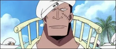 Épisode 156 - Que veut dire le "WB" qui se trouve sur le couvre-chef de McKinley ?