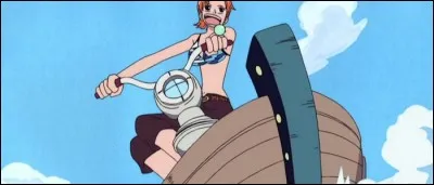 &Eacute;pisode 154 - Quel est l'objet que l'on voit sur cette photo et que peut-on en dire ?(2 r&eacute;ponses)