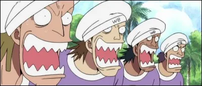 &Eacute;pisode 155 - Parmi les r&eacute;ponses suivantes, quelles sont les caract&eacute;ristiques des b&eacute;rets blancs de Skypiea ?(3 r&eacute;ponses)