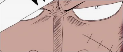 &Eacute;pisode 156 - De quoi les Mugiwaras sont-ils accus&eacute;s et quel est leur ch&acirc;timent ?(3 r&eacute;ponses)