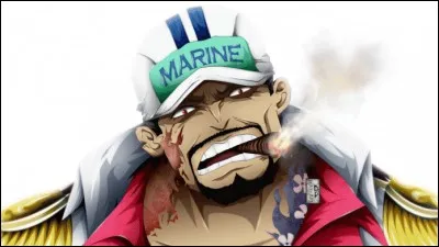 One Piece - Quel est le grade d'Akainu dans la Marine (après les 2 ans) ?