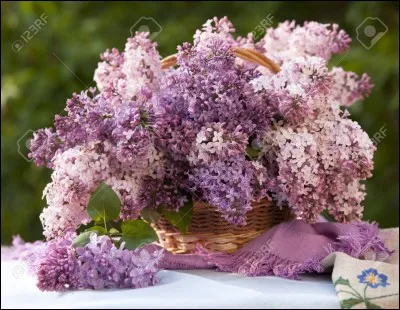 Le gars qu'on croise et qu'on n'regarde pas !