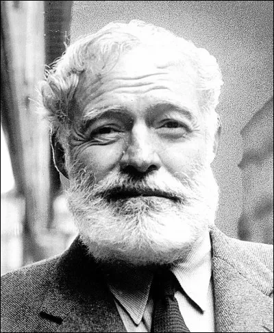 Accompagné de Célestine, c'est une série de livres illustrés pour la jeunesse de Gabrielle Vincent.