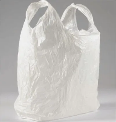 Combien de temps un sac en plastique met-il à disparaître ?