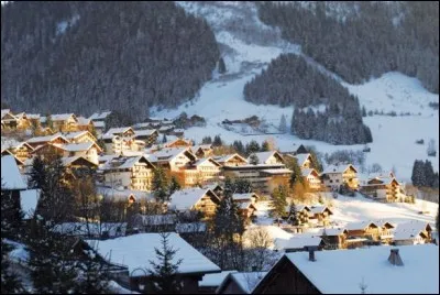 De combien de pays voisins de la France le département de la Haute-Savoie est-il frontalier ?