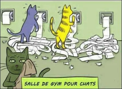 L - La "latrinapapirophilie" consiste à faire collection de papier toilette.