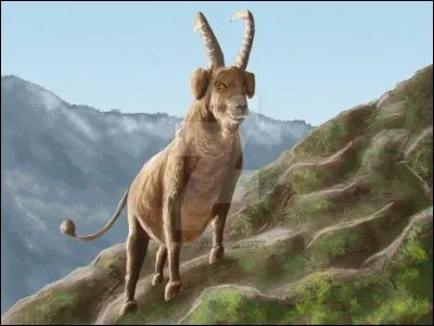 Et nous garderons un souvenir inoubliable de notre chasse au dahu et de la particularité de cet animal :