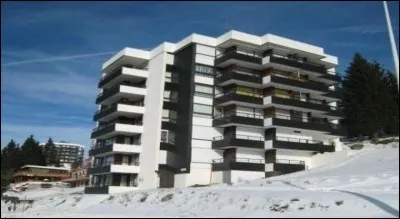 Après nous être bien restaurés, nous regagnons notre immeuble "Les Arolles" ! Mais que signifie le mot "arolle" ?