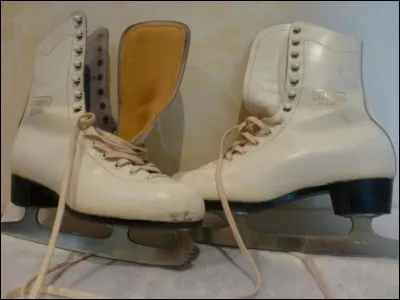 Quant à moi, je suis une inconditionnelle du patin à glace ! Quel genre de patinage est-ce que je pratique au vu de l'image ?