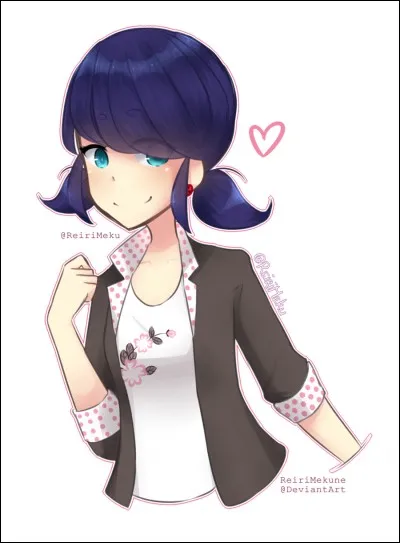 Que déteste Marinette ?