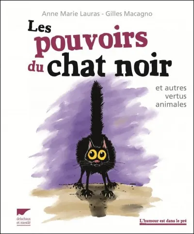 Combien de pouvoirs a Chat Noir ?