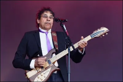 Ce chanteur s'appelle Laurent Voulzy.