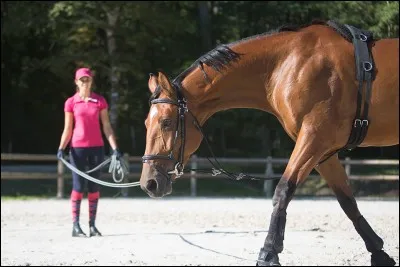 Si j'ajoute un G aux lettres du mot « Noël », j'obtiens un mot dont la définition peut correspondre à : « Jouet d'enfant »