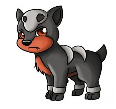 Malosse - À quelle race de chien ressemble-t-il ?