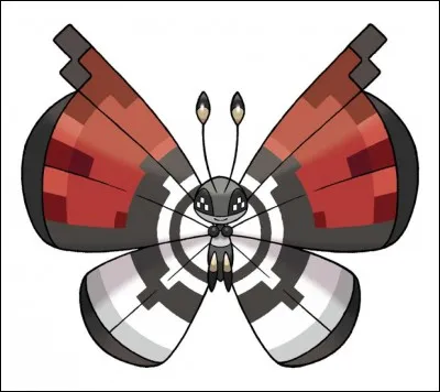 Prismillon - Quel est le motif de ce Prismillon ?