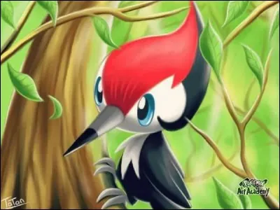 Picassaut - Combien de coups de bec peut-il donner par seconde ?