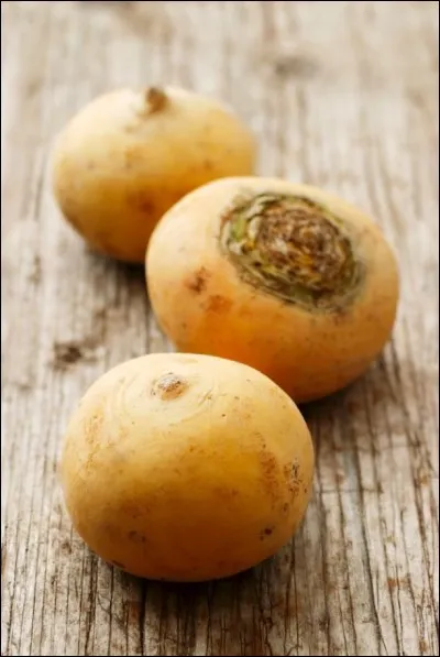 Quel est ce légume ?