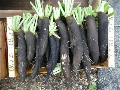 Quel est ce légume ?