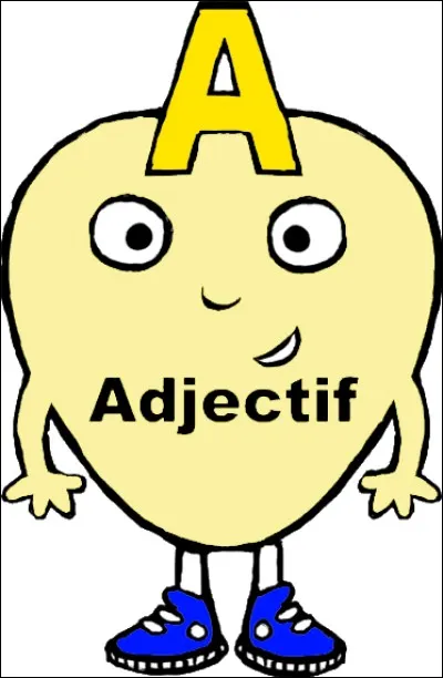 Quel adjectif te décrit ?