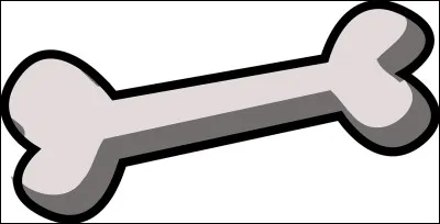 Quelle gâterie aimes-tu donner à ton chat ou à ton chien ?