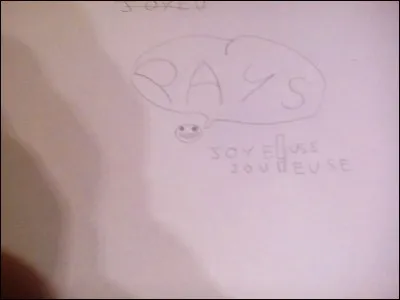 Quel pays aimerais-tu visiter ?