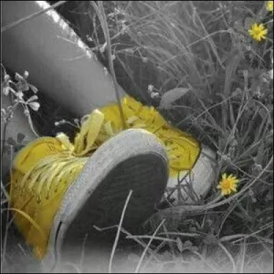 Qui interprétait les paroles "chante, chante, danse et mets tes baskets, chouette, c'est sympa tu verras..." ?