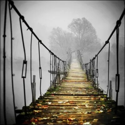 Lequel de ces films, réalisé par Patrice Leconte, réunit Vanessa Paradis et Daniel Auteuil ?