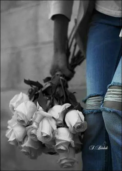 Qui la décrivait dans sa chanson par les mots "Un blue jean qui ne valait plus rien mais je crois que je l'aimais bien"