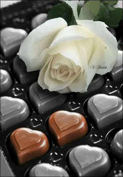 Laquelle de ces marques de chocolat n'est pas suisse ?