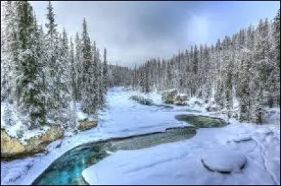 ''Mon pays ce n'est pas un pays, c'est l'hiver 
Mon jardin ce n'est pas un jardin, c'est la plaine 
Mon chemin ce n'est pas un chemin, c'est la neige''
Quel Québécois chantait ces paroles ?
