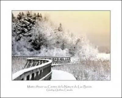 ''Je me souviens de ces matins d'hiver
Dans la nuit sombre et glacée
Quand je marchais à côté de mon frère
Sur le chemin des écoliers
Quand nos membres, encore tout engourdis
De sommeil, grelottaient sous les assauts du vent
Nous nous battions à grands coups de boules de neige
En riant''
Qui chantait ces paroles en 1972 ?