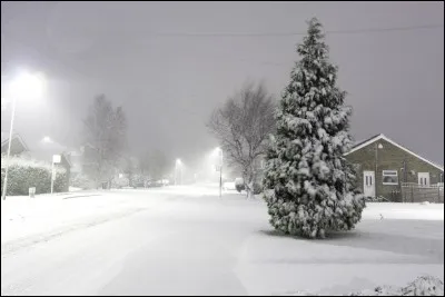Elle a chanté « Jour de neige » en 1988. C'est :