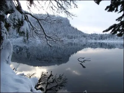 Il a chanté « Il a neigé sur les lacs » en 1990. C'est :
