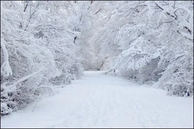 Elle a chanté « Blanc comme neige » en 2005. C'est :