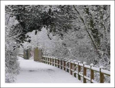 Elle a chanté « Le sentier de neige » en 2010. C'est :