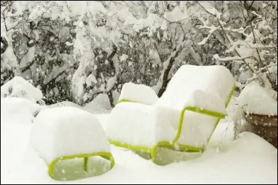 Il a chanté « Comment c'est fait la neige » en 1979. C'est :