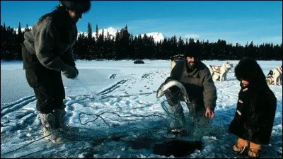 Elle a chanté « L'enfant des neiges « en 1996. C'est :