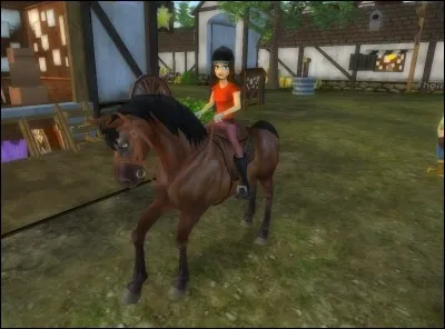 Quel cheval avons-nous à nos débuts ?